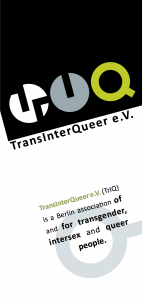 Flyer über TrIQ auf Englisch