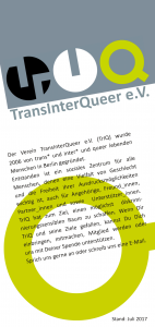 TrIQ Info-Flyer